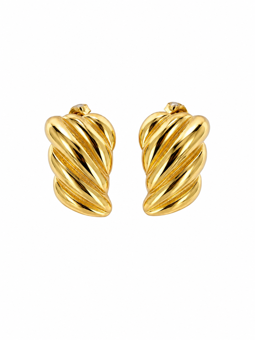 Wing Earrings
