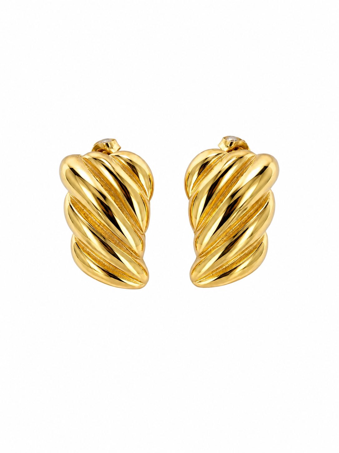 Wing Earrings