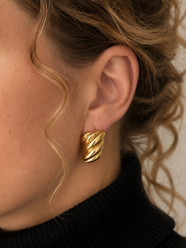 Wing Earrings